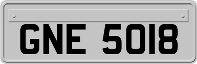 GNE5018