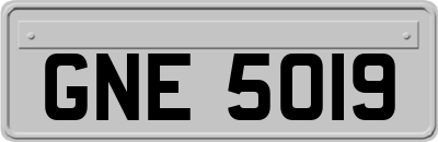 GNE5019