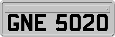GNE5020