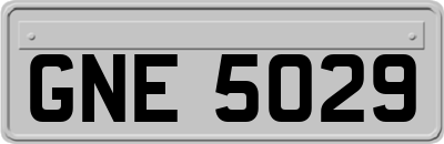 GNE5029