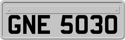 GNE5030