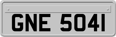 GNE5041