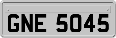 GNE5045