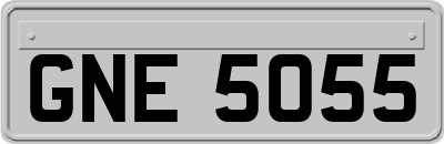GNE5055