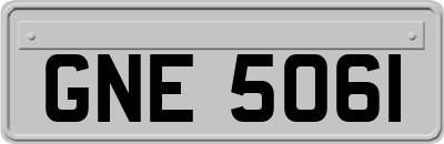 GNE5061