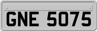 GNE5075