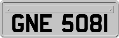 GNE5081
