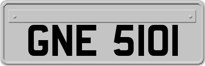 GNE5101