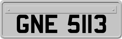 GNE5113