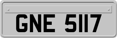 GNE5117