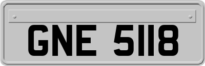 GNE5118