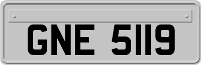 GNE5119