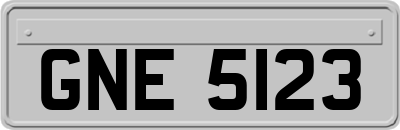 GNE5123