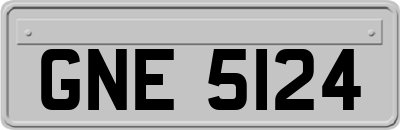 GNE5124