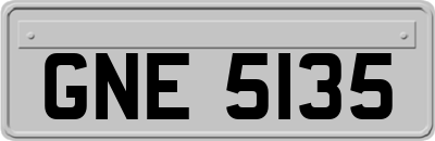 GNE5135