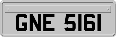 GNE5161