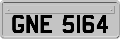 GNE5164