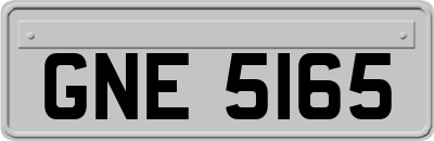 GNE5165