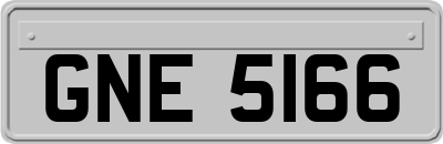 GNE5166