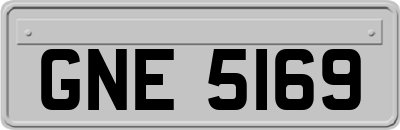 GNE5169