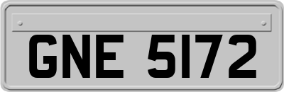 GNE5172
