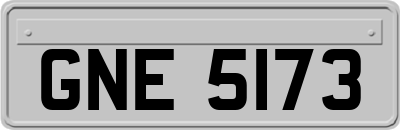 GNE5173