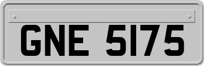 GNE5175