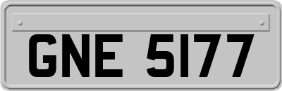 GNE5177