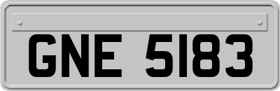 GNE5183