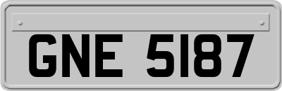 GNE5187