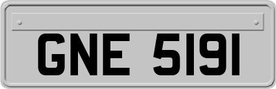 GNE5191