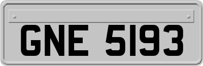 GNE5193