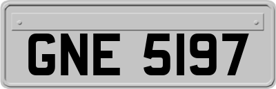 GNE5197