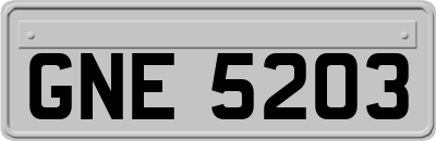GNE5203