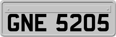 GNE5205