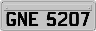 GNE5207