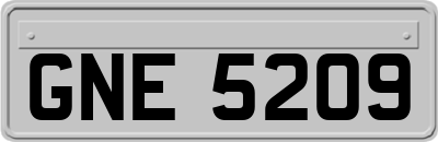 GNE5209
