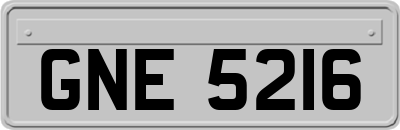 GNE5216