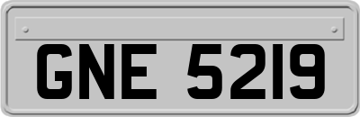 GNE5219