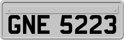 GNE5223