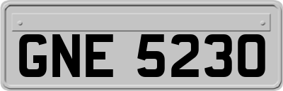 GNE5230