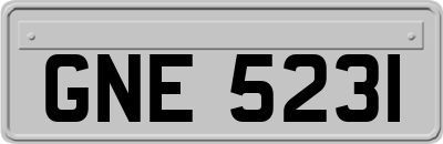 GNE5231