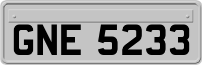 GNE5233