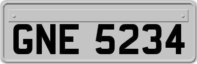 GNE5234