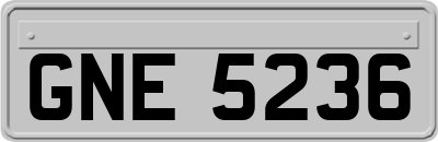 GNE5236