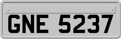 GNE5237