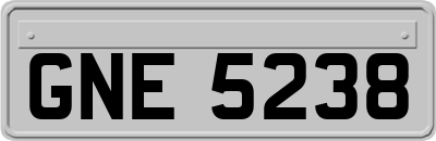 GNE5238