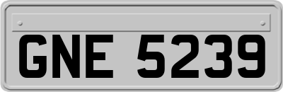 GNE5239