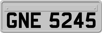 GNE5245