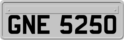 GNE5250